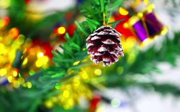 Stock Video Decorations On New Years Eve And Christmas For PC