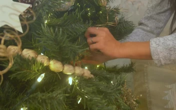 Stock Video Decorating A Christmas Tree For PC