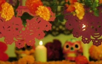 Stock Video Day Of The Dead Altar Under Color Changing Lights For PC