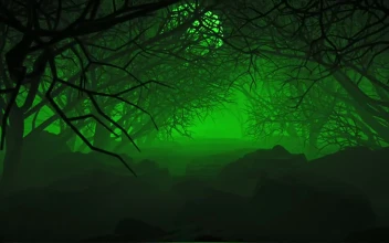 Stock Video Dark Forest Under The Moon And A Green Haze For PC
