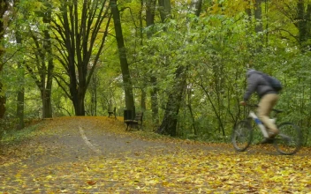 Stock Video Cyclist Pedaling On A Park Road For PC