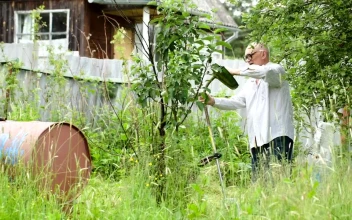 Stock Video Cutting Down Tall Grass For PC