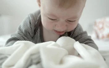 Stock Video Cute Baby Playing With A Teddy For PC