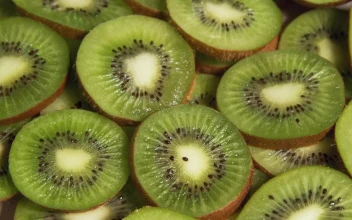 Stock Video Cut Up Kiwi For PC