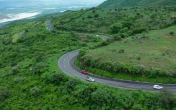 Stock Video Curvy Road On A Tree Covered Hill For PC