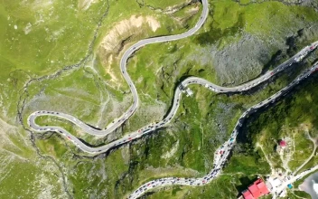 Stock Video Curvy Road In A Green Landscape For PC
