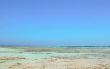 Stock Video Crystal Clear Waters Along The Beach For PC