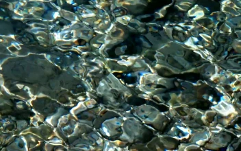 Stock Video Crystal Clear Water With Rocky Bottom For PC