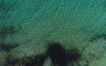 Stock Video Crystal Clear Sea Water Seen From Above For PC