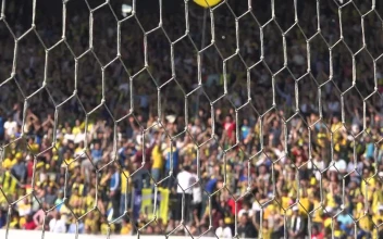 Stock Video Crowd Cheering At The Stadium For PC