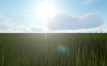 Stock Video Crossing A Meadow In Spring For PC