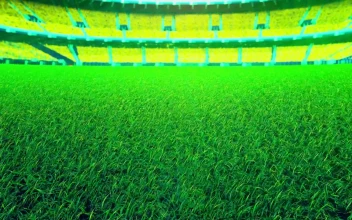 Stock Video Cricket Court In A Stadium For PC
