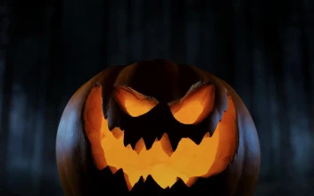 Stock Video Creepy Halloween Pumpkin In Dark Cloud Forest For PC