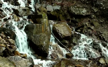 Stock Video Creek Flowing Through The Mountain Rocks For PC