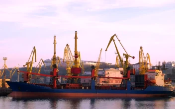 Stock Video Cranes In Motion At The Trading Port For PC