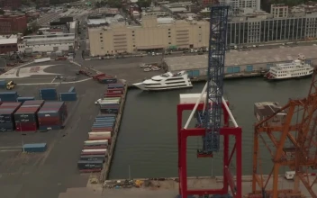 Stock Video Cranes And Containers In The Port For PC