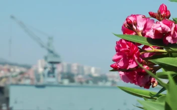 Stock Video Crane Of A Port Seen In The Distance For PC