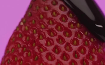 Stock Video Covering A Strawberry With Liquid Chocolate On A Lilac Background For PC