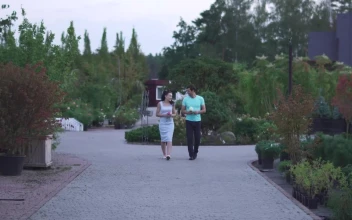 Stock Video Couple Walks In A Garden While Chatting For PC