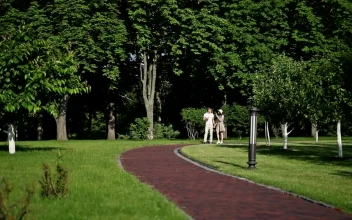 Stock Video Couple Walk In Park Eatng Ice Cream And Holding Hands For PC