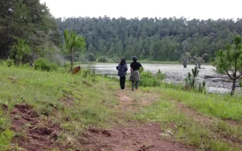 Stock Video Couple Taking A Selfie During A Walk In Nature For PC