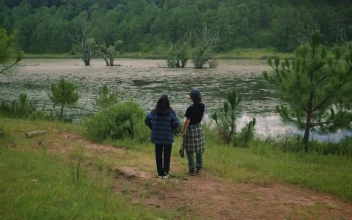 Stock Video Couple Taking A Selfie At A Lake In Nature For PC