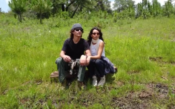 Stock Video Couple Sitting On The Shore Of A Lake For PC
