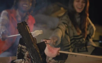 Stock Video Couple Of Friends Burning Marshmallows Over A Campfire For PC