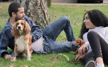 Stock Video Couple Lying Down In A Park Resting With Their Pets For PC