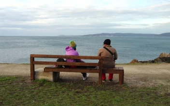 Stock Video Couple Looking Out Across The Sea For PC