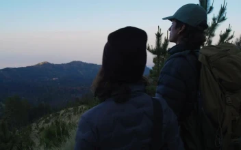 Stock Video Couple Looking At A Landscape In Nature For PC
