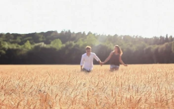 Stock Video Couple In Love In A Wheat Field For PC