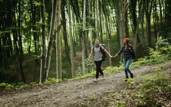 Stock Video Couple Hold Hands On Romantic Hike In Forest For PC