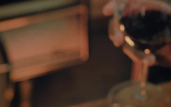 Stock Video Couple Clinking Their Glasses With Wine In A Toast For PC