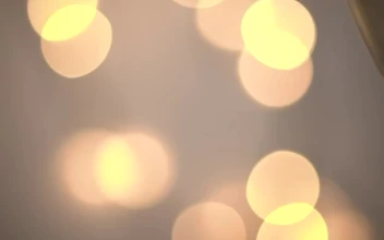 Stock Video Couple Clinking Their Glasses In A Toast For PC