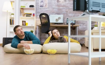 Stock Video Couple And Their Cat Watching Tv For PC