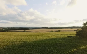 Stock Video Countryside Sunshine For PC
