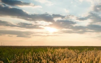 Stock Video Countryside Field At Sunset Time Lapse For PC
