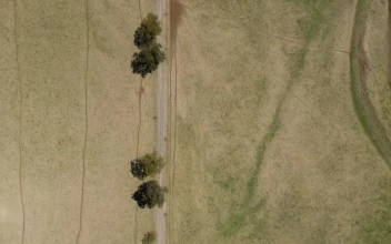 Stock Video Country Road Next To A Lake Top Shot For PC