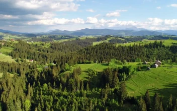 Stock Video Country Houses In The Middle Of The Forest For PC