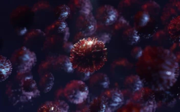 Stock Video Coronavirus Cells Spin In D Animation For PC