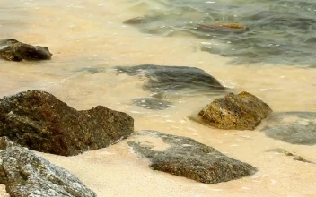 Stock Video Cool Waves On A Hot Day For PC