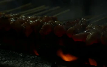 Stock Video Cooking Meat Outside For PC