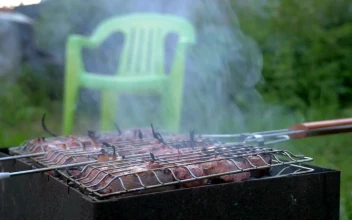 Stock Video Cooking Meat In The Garden For PC