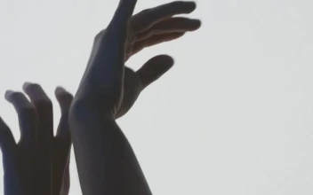 Stock Video Contemporary Dancers Hands On A Light Background For PC