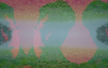 Stock Video Conceptual Nature Face Shot For PC