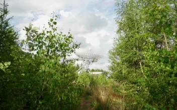 Stock Video Communications Antenna In The Distance Seen From The Undergrowth For PC
