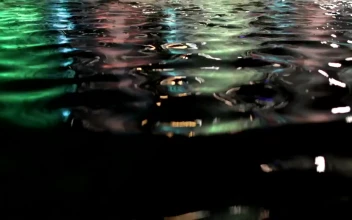 Stock Video Colors Reflecting On A Pool For PC