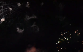 Stock Video Colorful Fireworks Exploding At Night For PC