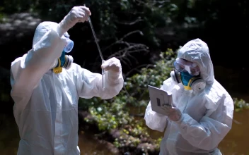 Stock Video Collecting Water Samples In Biohazard Suits For PC